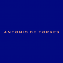 thương hiệu thời trang antonio de torres (adt.style)