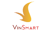 công ty cổ phần nghiên cứu và sản xuất vinsmart - thành viên của tập đoàn vingroup